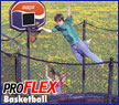 Pro Flex Basketball